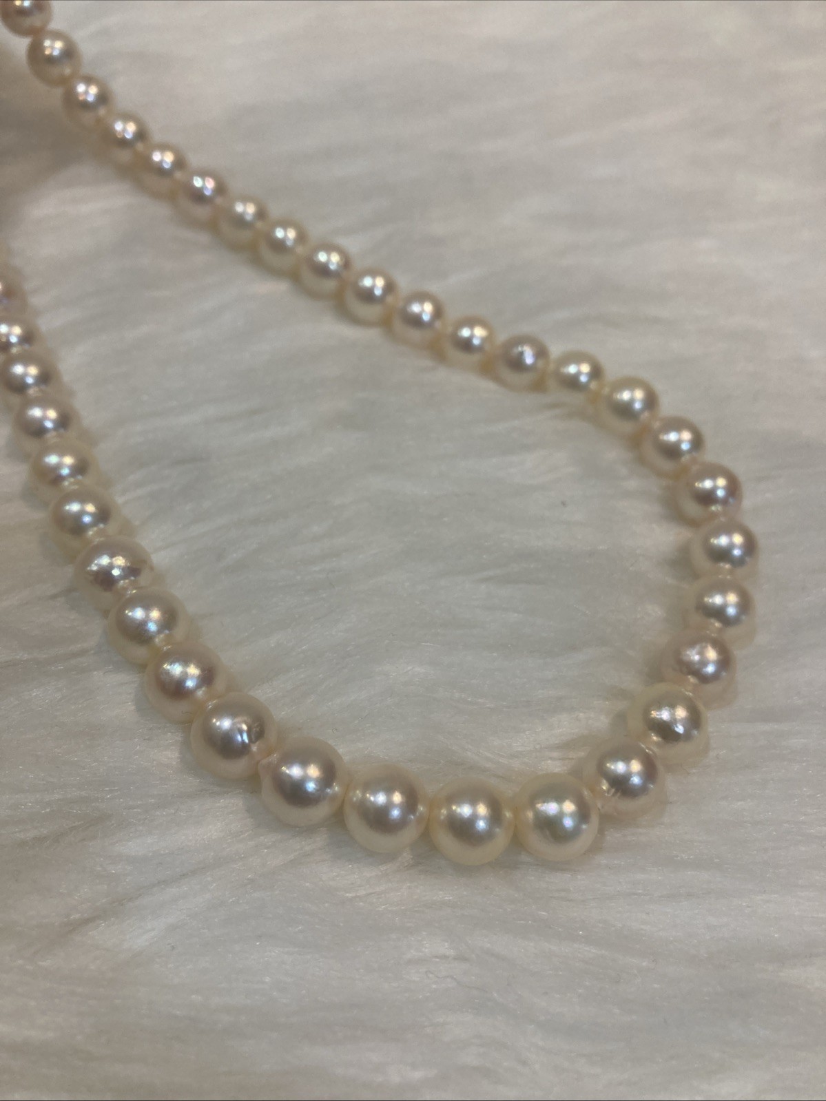 A01 Japanese Akoya Pearl Necklace 7.5-8mm 43cm Silver Clasp White Pearl