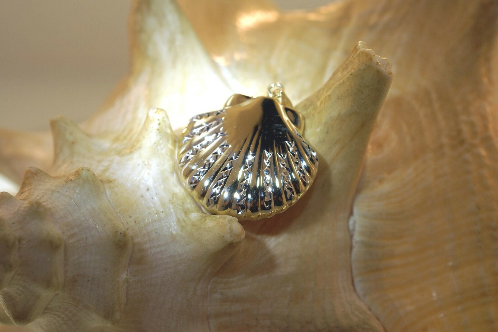 23.5MM 2-TONE 14K YELLOW GOLD DC HAWAIIAN 2-SIDED PUFF SCALLOP SEASHELL PENDANT