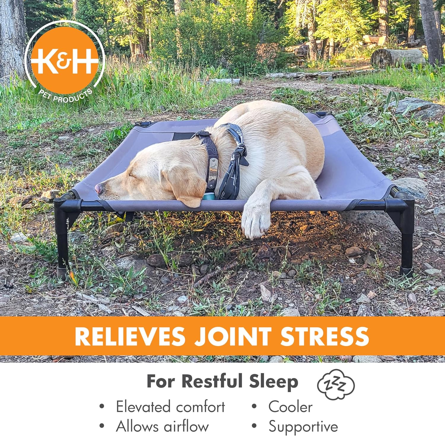 Outdoor Elevated Dog Cot, Breathable Cooling Elevated Cot Hammock Pet Bed for La