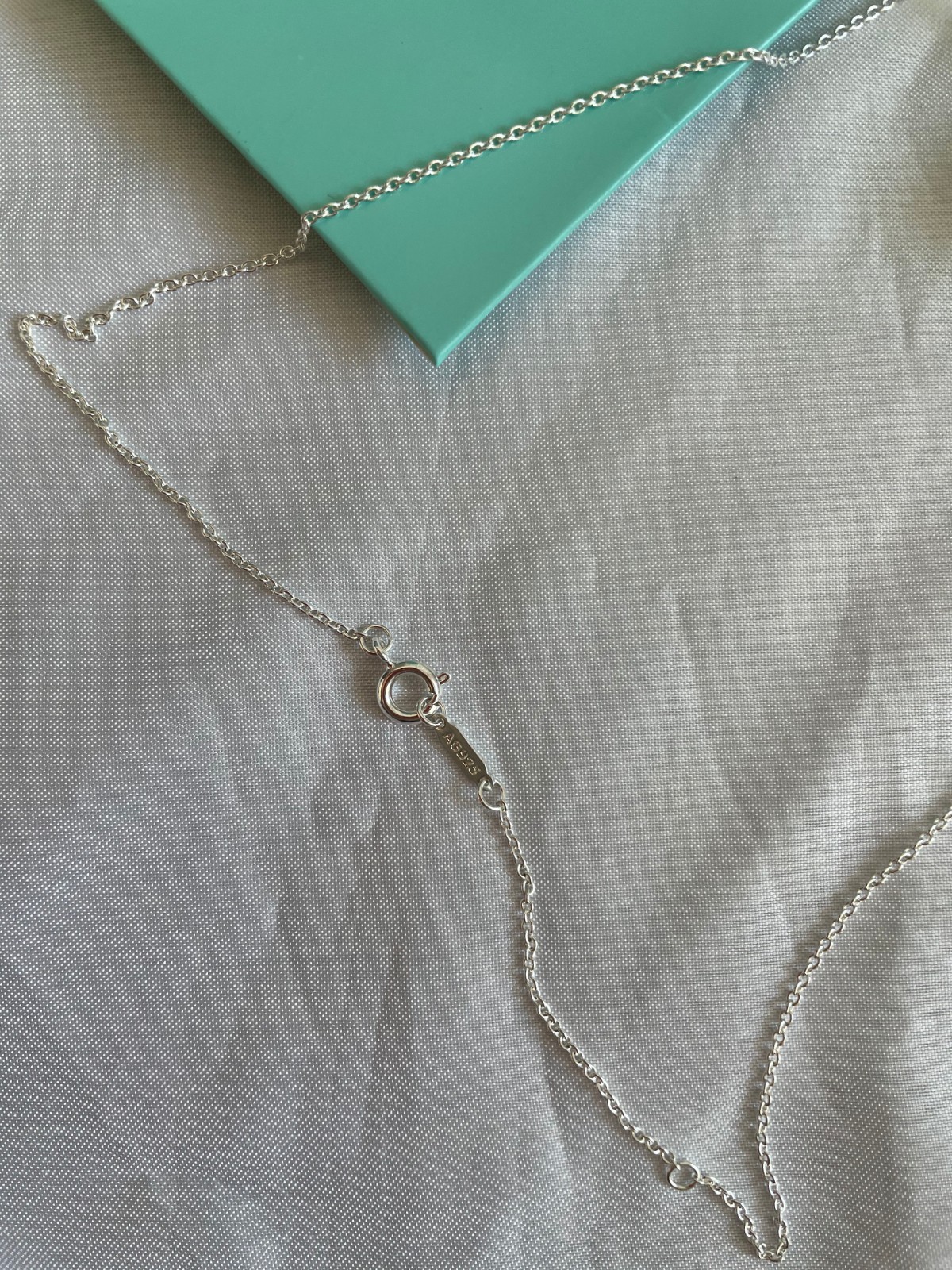 Authentic Tiffany & Co Necklace