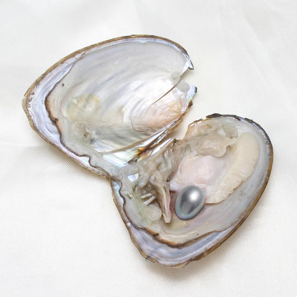 50PCS Freshwater Near Round Oyster Pearl with Pearls Inside Random 7-8mm DIY