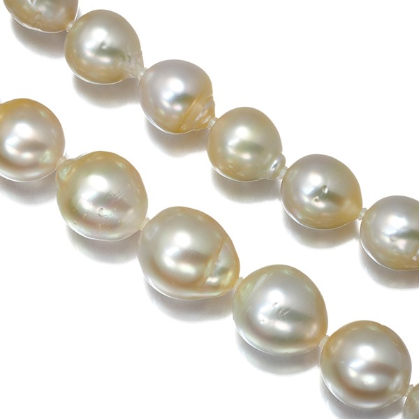 Light Golden South Sea Pearl 9.9-12.2mm Necklace Silver