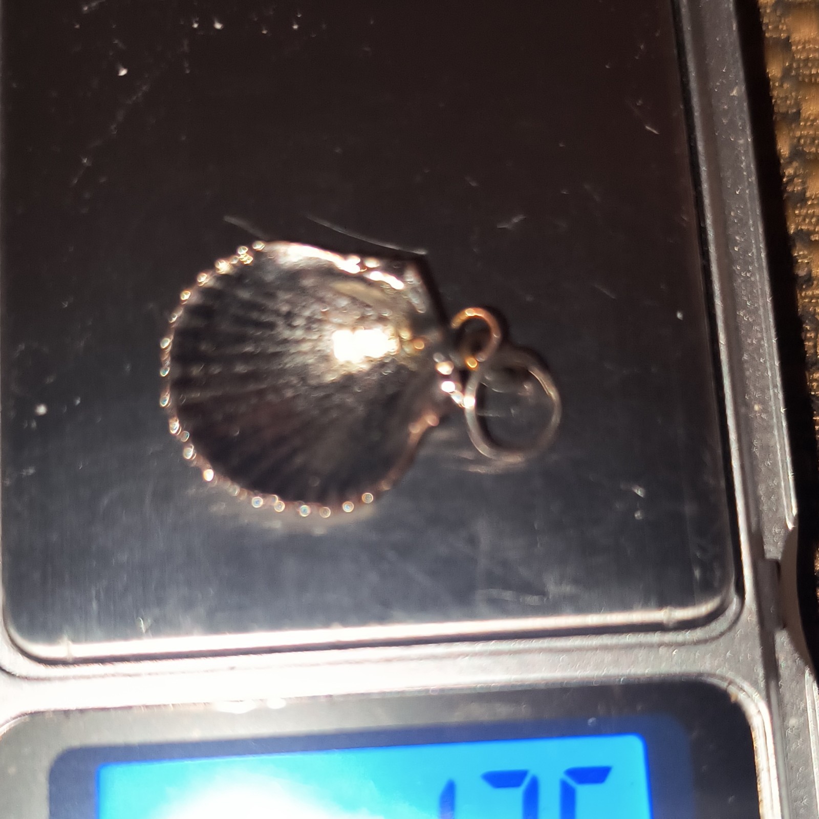 Sterling Silver 925 Shell Charm Pendant, No Stone, Beach Sea Life Theme
