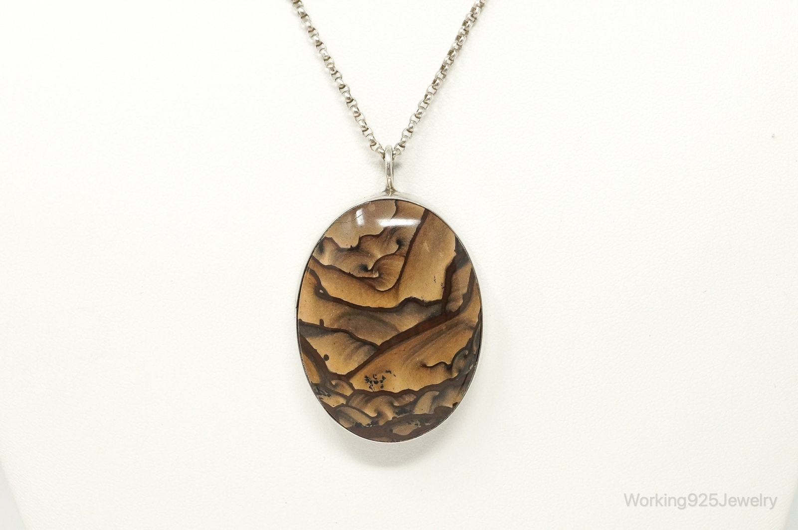 Vintage Unsigned Native American Large Picture Jasper Sterling Silver Necklace