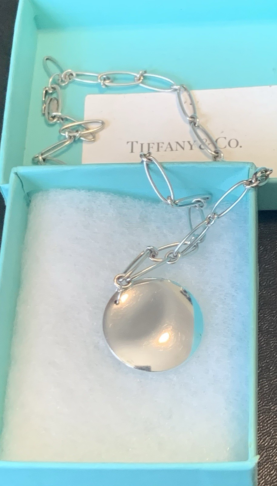 Authentic Tiffany & Co Elsa Peretti Necklace, Large Disc Pendant