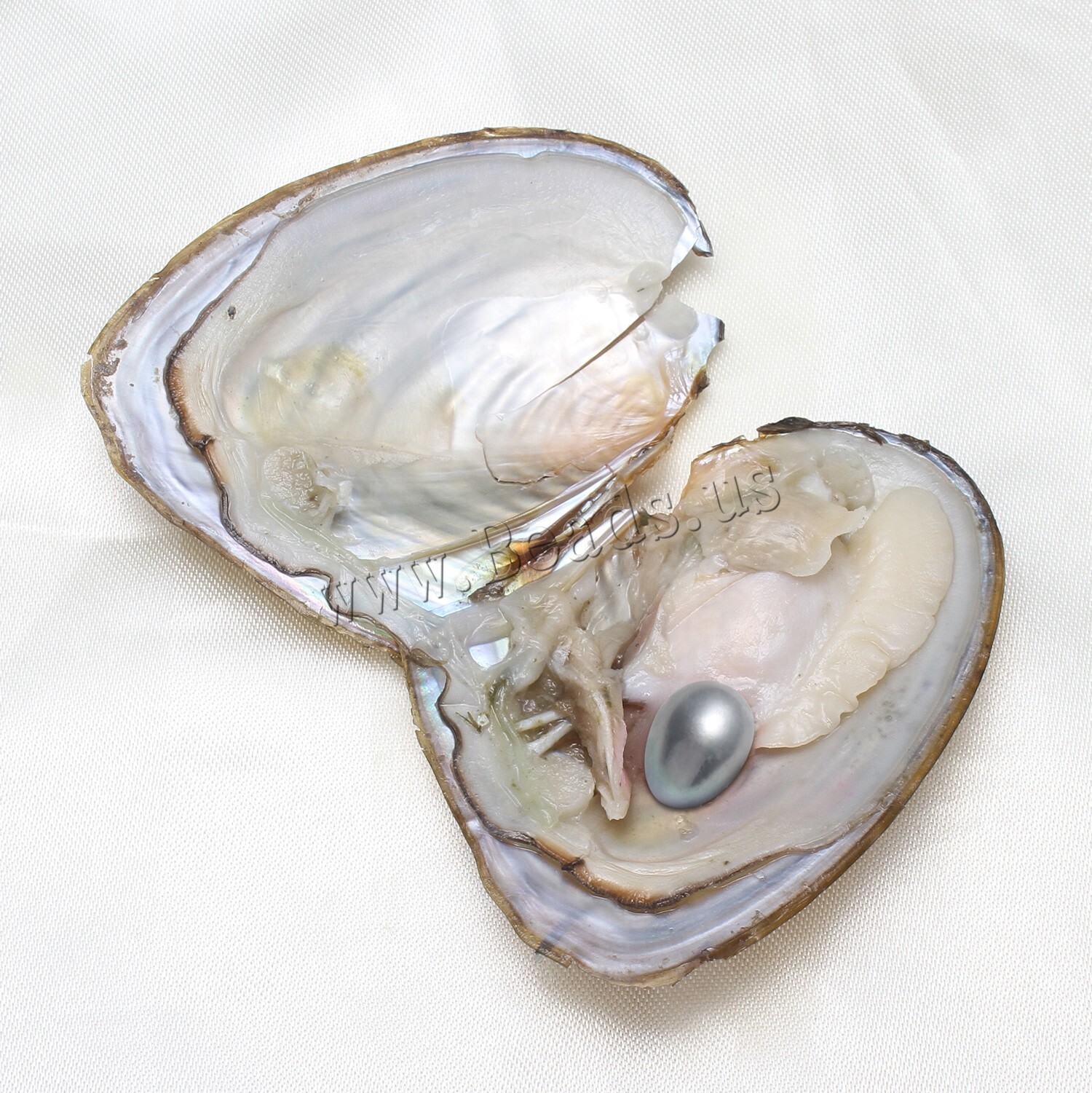 50PACK Oysters Breeding Real Pearl Freshwater Pearl For Mom 7-8mm Vacuum
