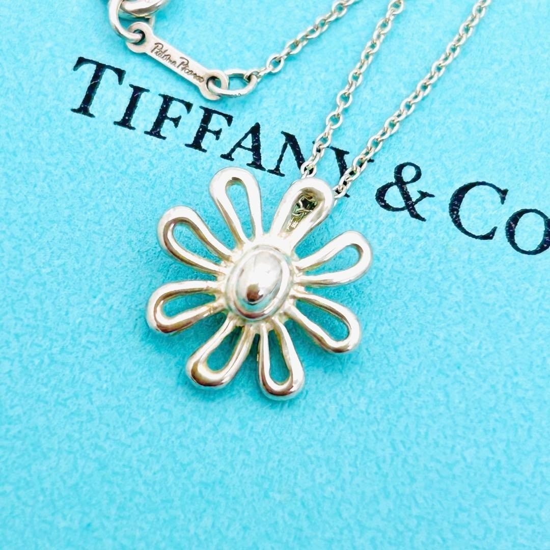Tiffany & Co. Paloma Picasso Daisy Flower Pendant Necklace Silver 925
