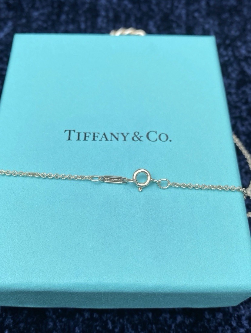 RARE Tiffany & Co 925 Silver Floating Rope Circle 18” Necklace with Pouch & Box