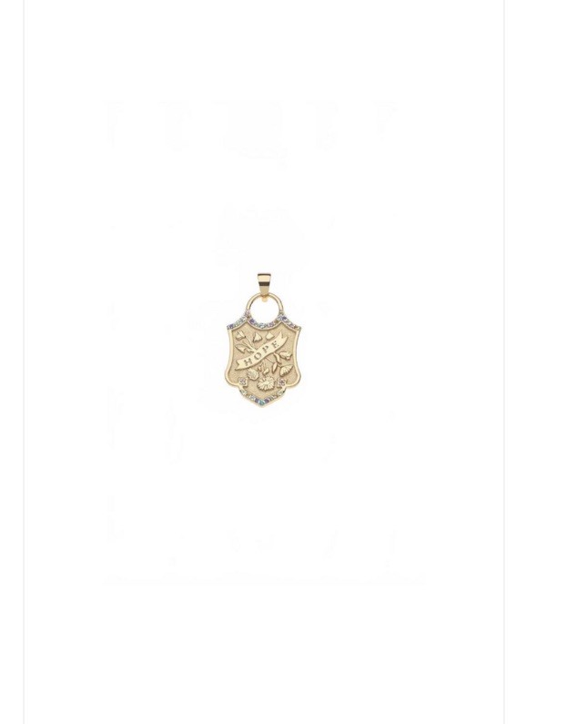 Jane Win Gold Plated Sterling Silver 925 Hope Shield Pendant and Chain NWOT