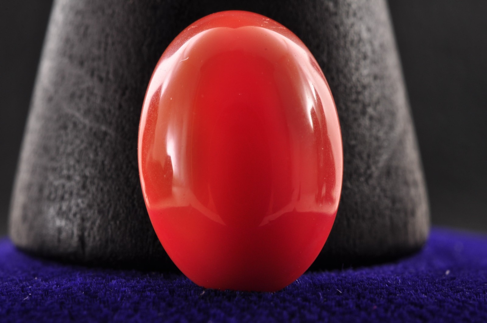 With Certification Single color MOMO coral oval Cabochon ( 13mm(0.51in) 5.5ct).