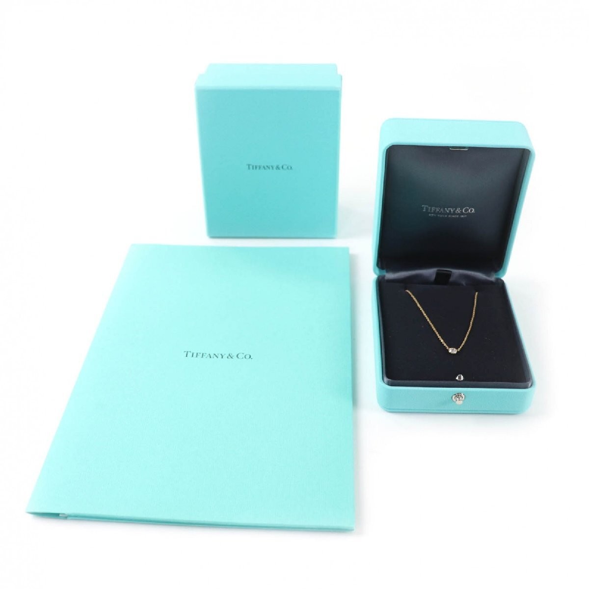 Tiffany & Co. Elsa Peretti 750YG By The Yard 1PD Necklace 0.22ct G VVS2 3EX NONE
