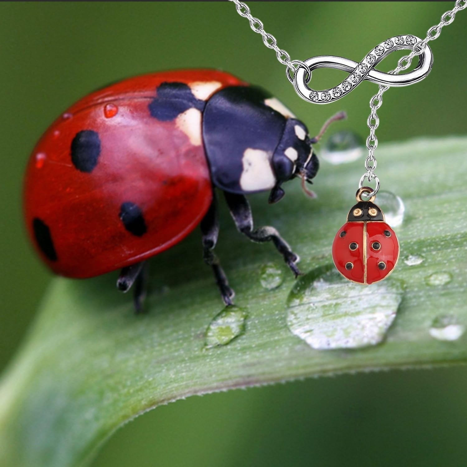 Ladybug Necklace Ladybug Fan Gift Insect Lover Gift Yes I Really Do Need All The