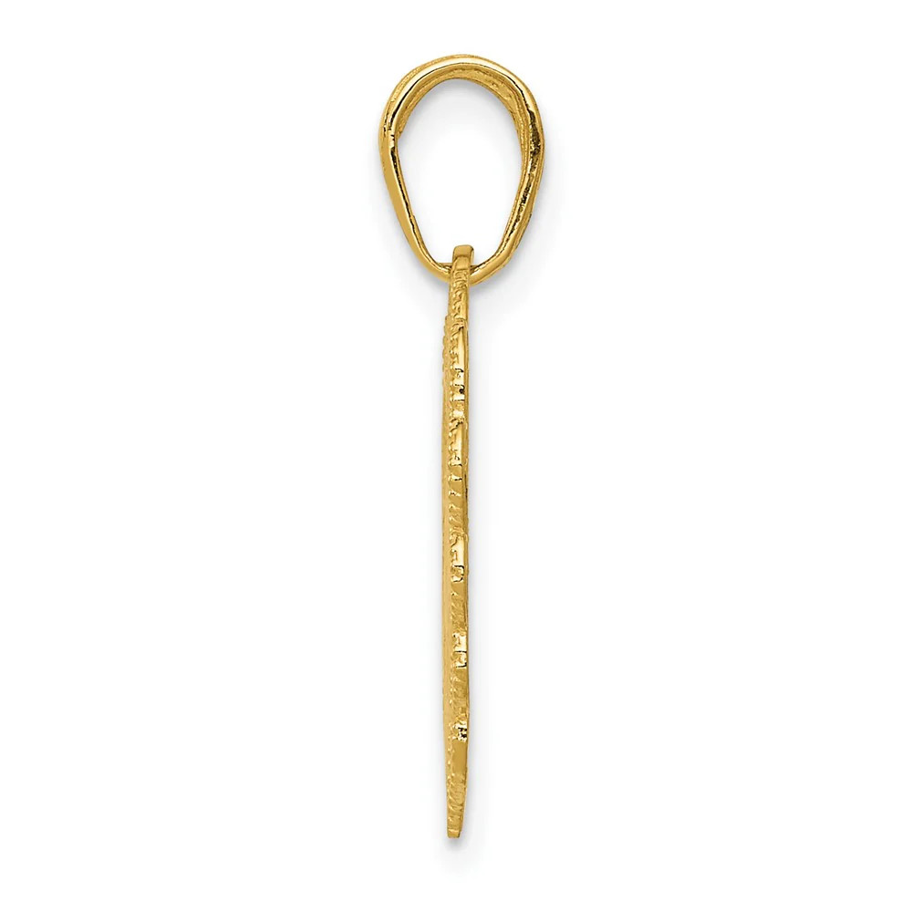 10K / 14K Yellow Gold Registered Nurse Heart Pendant