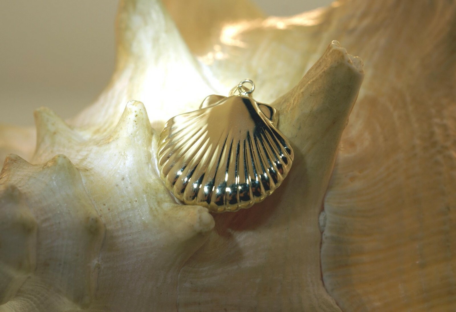 23.5MM 2-TONE 14K YELLOW GOLD DC HAWAIIAN 2-SIDED PUFF SCALLOP SEASHELL PENDANT