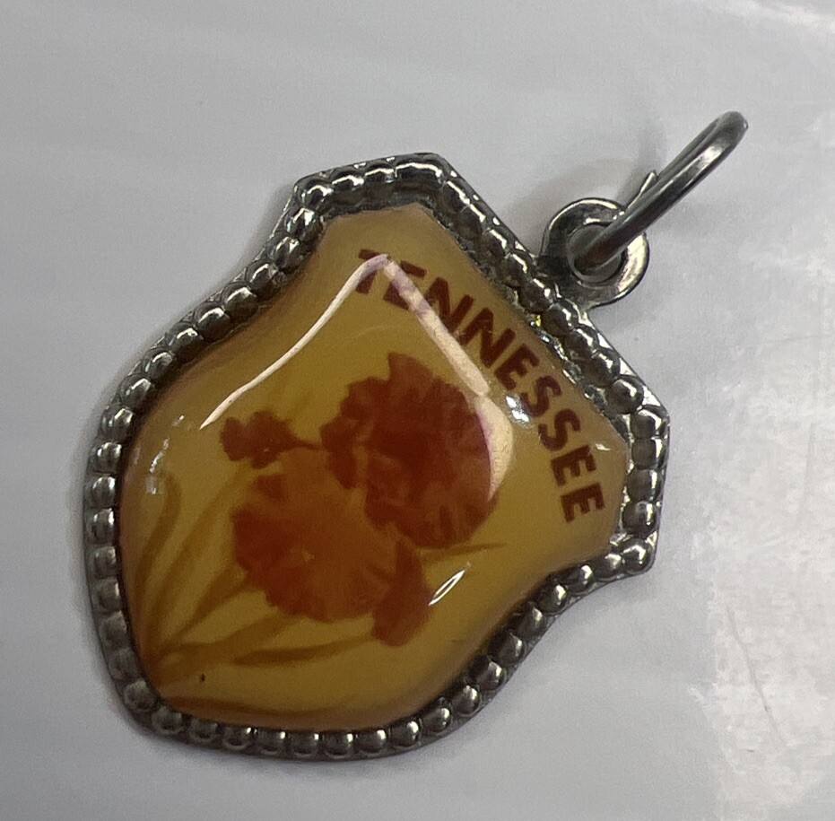 925 Sterling Silver Retro Pendant TENNESSEE Resin Shield Crest Souvenir Iris