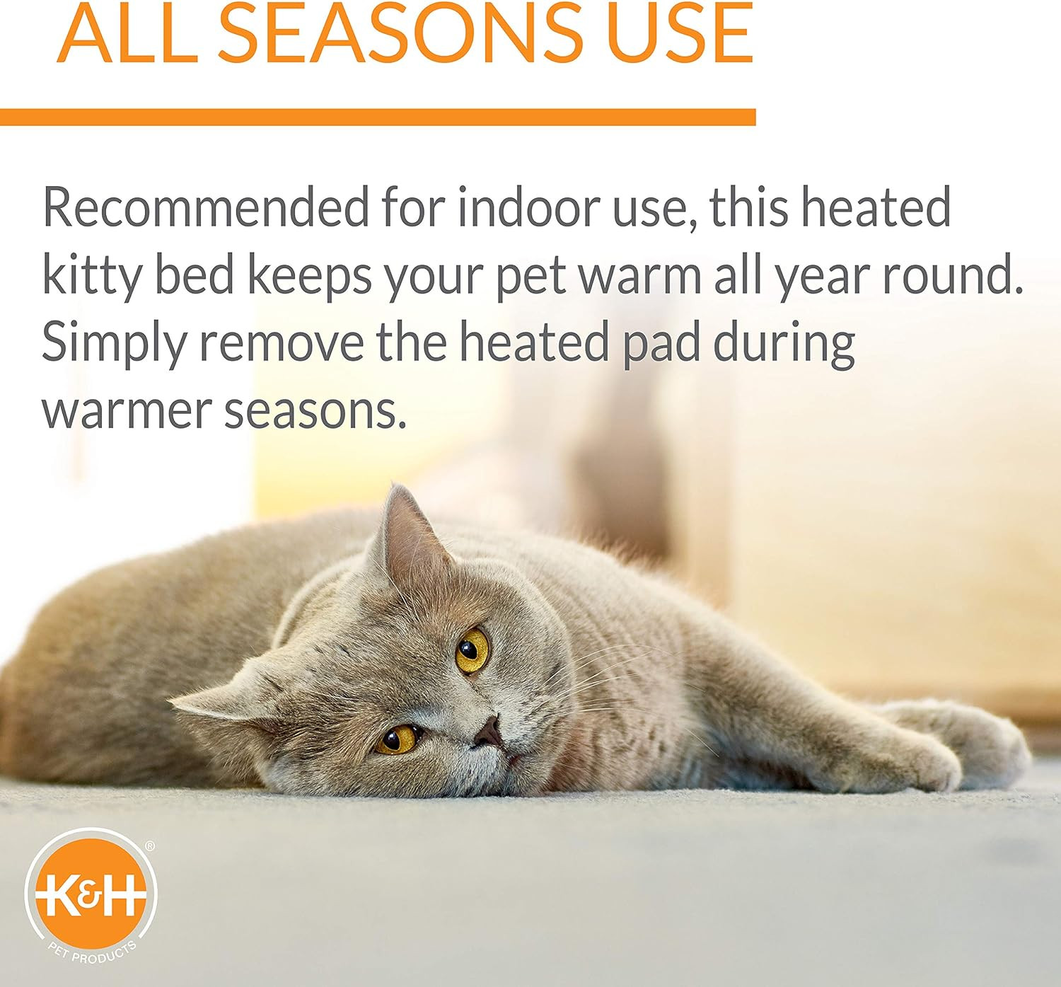 Bolster Heated Cat Bed for Indoor Cats, Thermo-Kitty Fashion Splash Orthopedic F