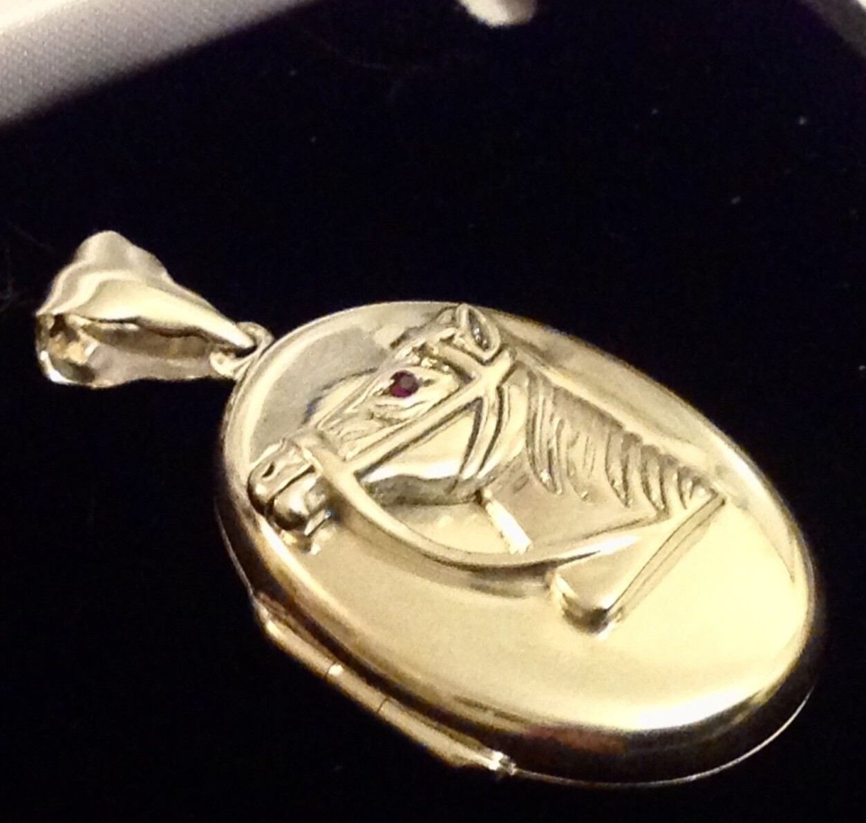 Sterling silver animal ruby horse pony memory photo oval locket & Chain Necklace