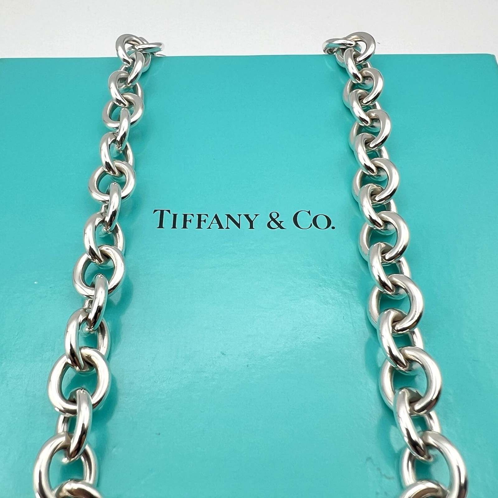 Tiffany & Co. Rare Heart Arrow Toggle Chain Necklace Silver 925 Italy 72.7g