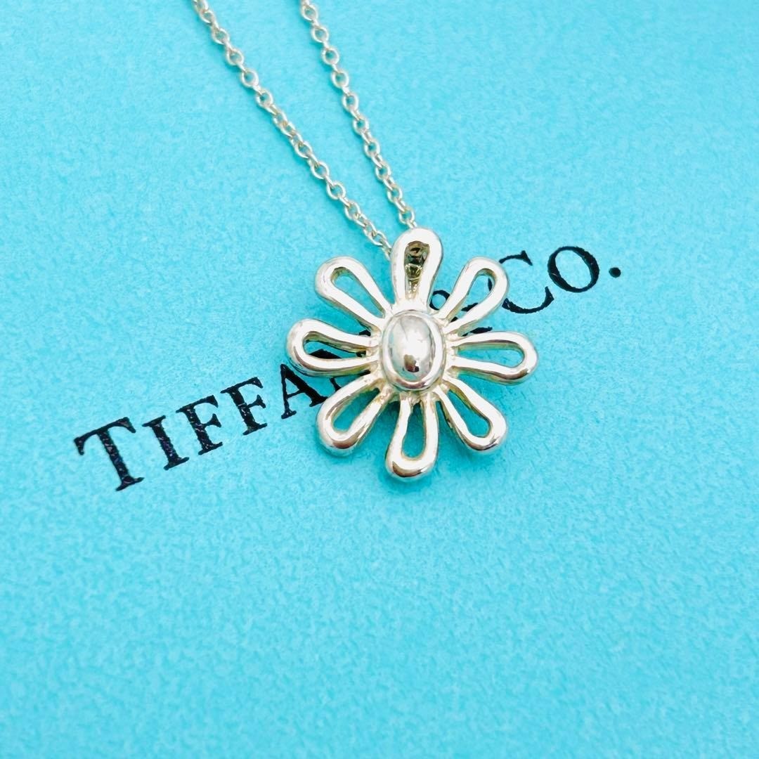 Tiffany & Co. Paloma Picasso Daisy Flower Pendant Necklace Silver 925