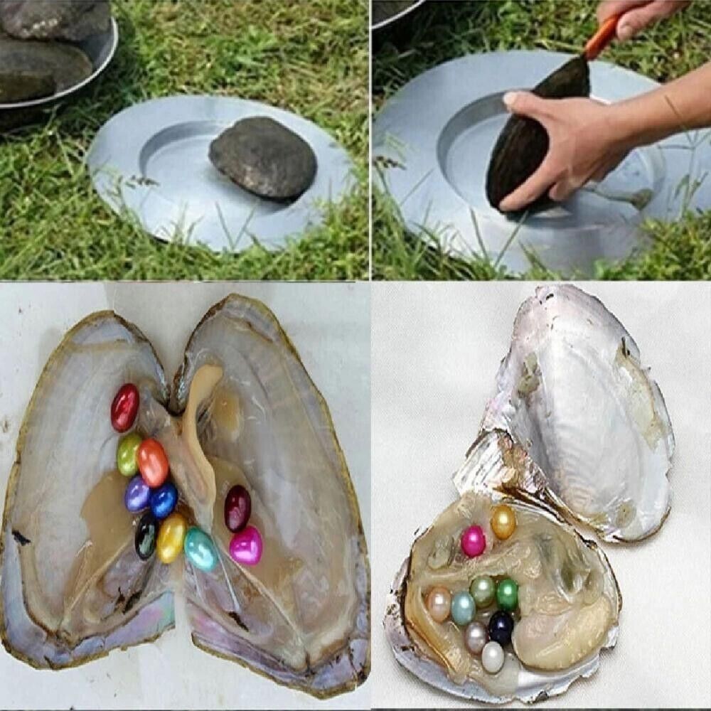 50PCS Akoya Oysters Natural Real Pearl Freshwater Pearl Gfit 7-8mm Vacuum Pack