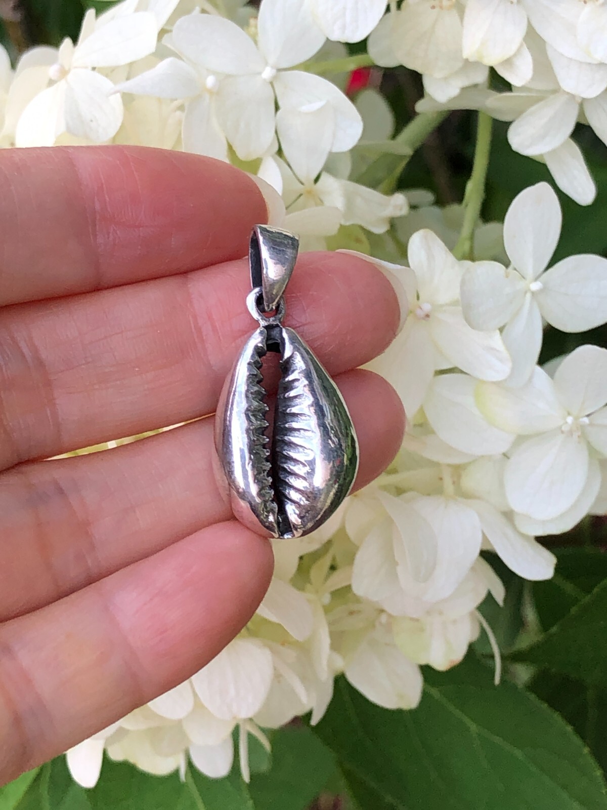 Cowry Cowrie Shell Pendant 925 Sterling Silver Heavy Beach Charm 21mm (30mm)