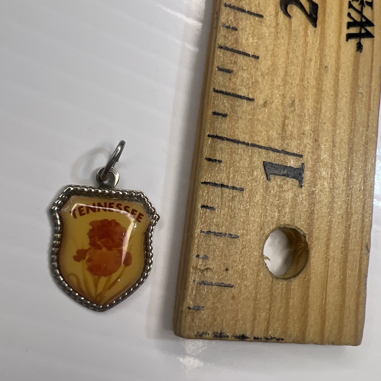 925 Sterling Silver Retro Pendant TENNESSEE Resin Shield Crest Souvenir Iris