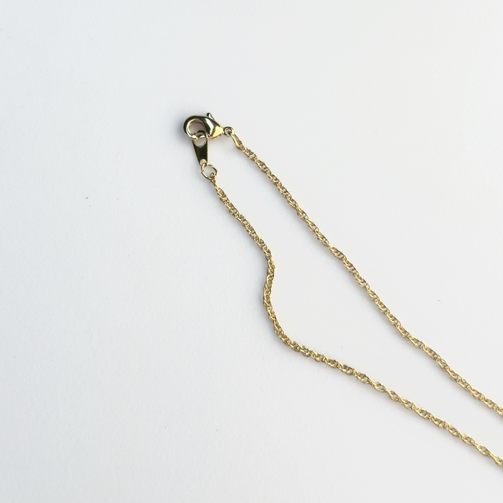 Littleton Coin Co. 14K Gold Plated Cutout Elephant Coin Rope Chain Necklace J200