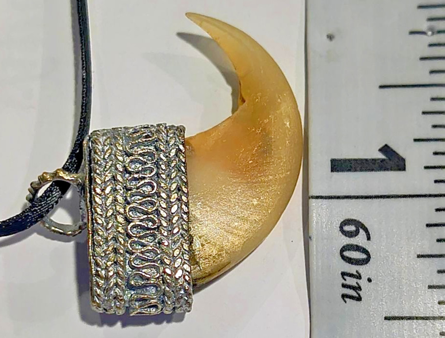 Victorian / Raj Era “Faux” Med/LG Claw Set in Silver Pendant, Charm