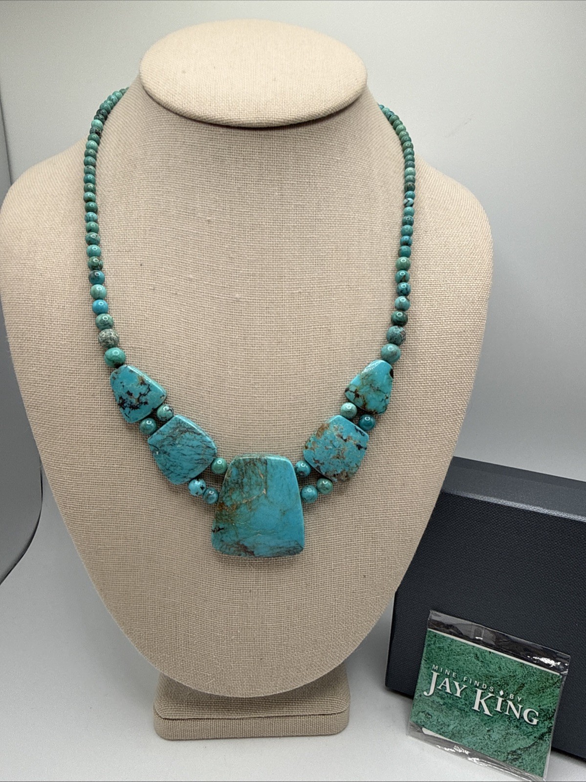 Jay King Natural Mongolian Spider Web Turquoise 925 Necklace NWT Orig. $248