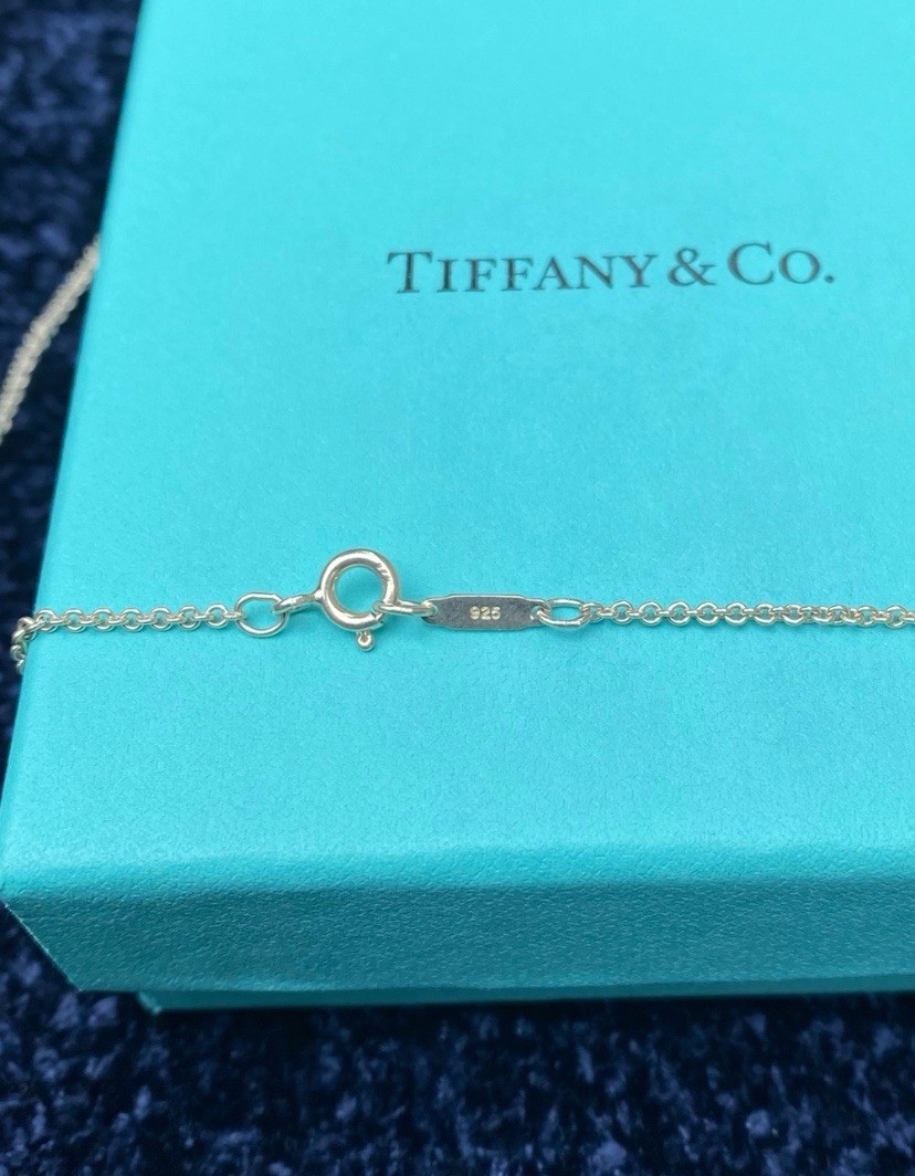 RARE Tiffany & Co 925 Silver Floating Rope Circle 18” Necklace with Pouch & Box