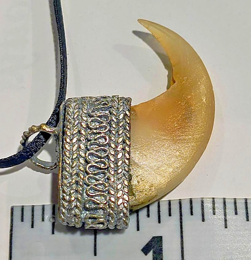 Victorian / Raj Era “Faux” Med/LG Claw Set in Silver Pendant, Charm