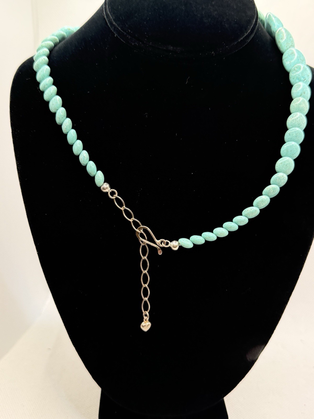 Jay King Dtr Mine Finds Turquoise Bead Sterling Silver Necklace Graduate Disk