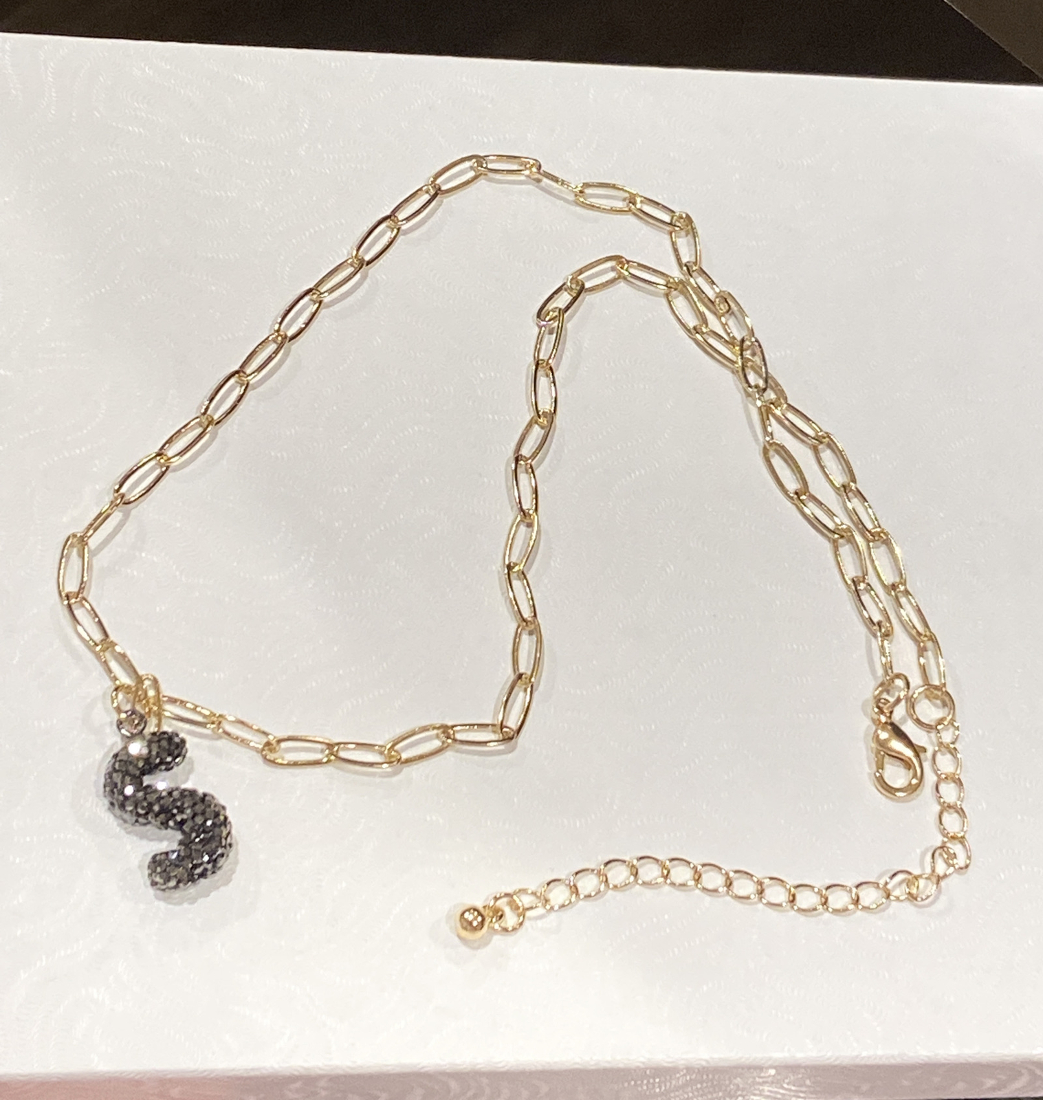 PANACEA 14K Gold Plated Paper Clip Chain Luxe Initial Necklace Letter S