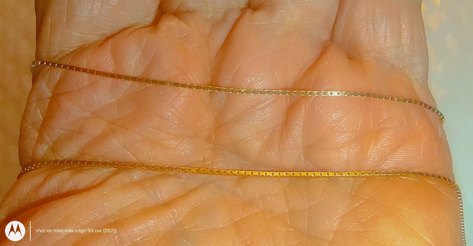 14k REAL Yellow Gold Solid Box Link Chain Necklace with Lobster Clasp ((43))
