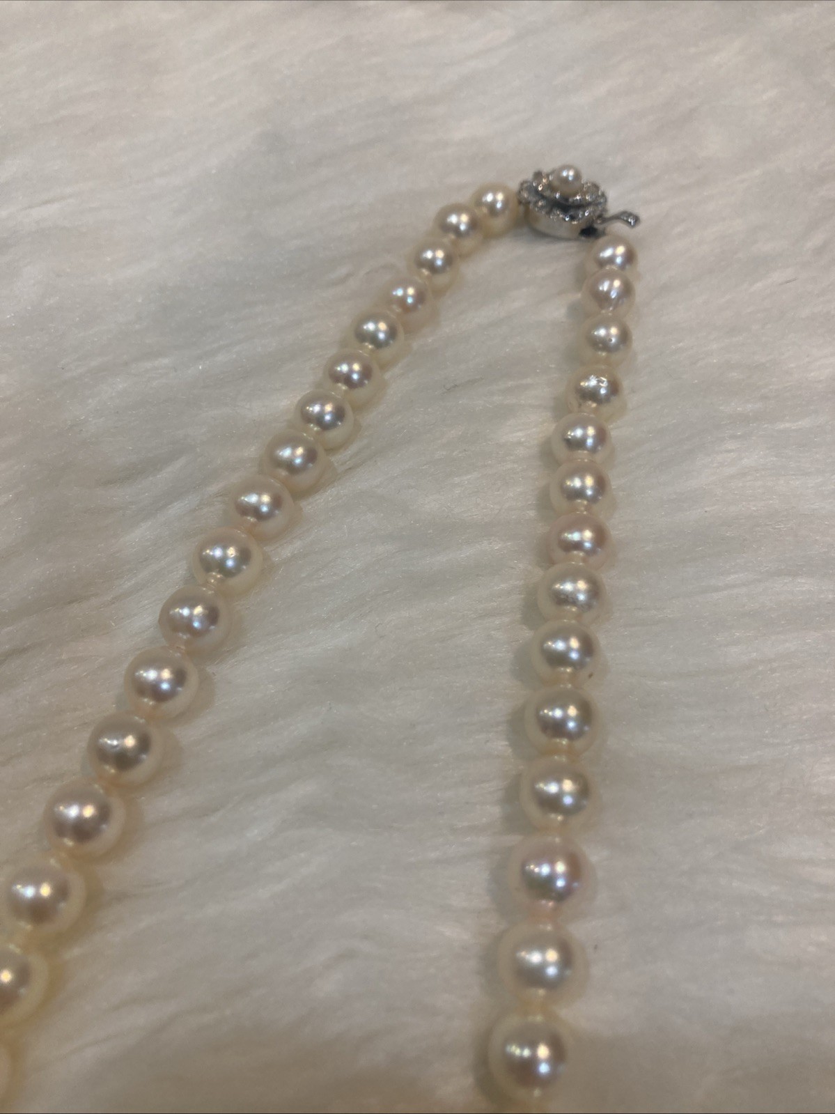 A01 Japanese Akoya Pearl Necklace 7.5-8mm 43cm Silver Clasp White Pearl