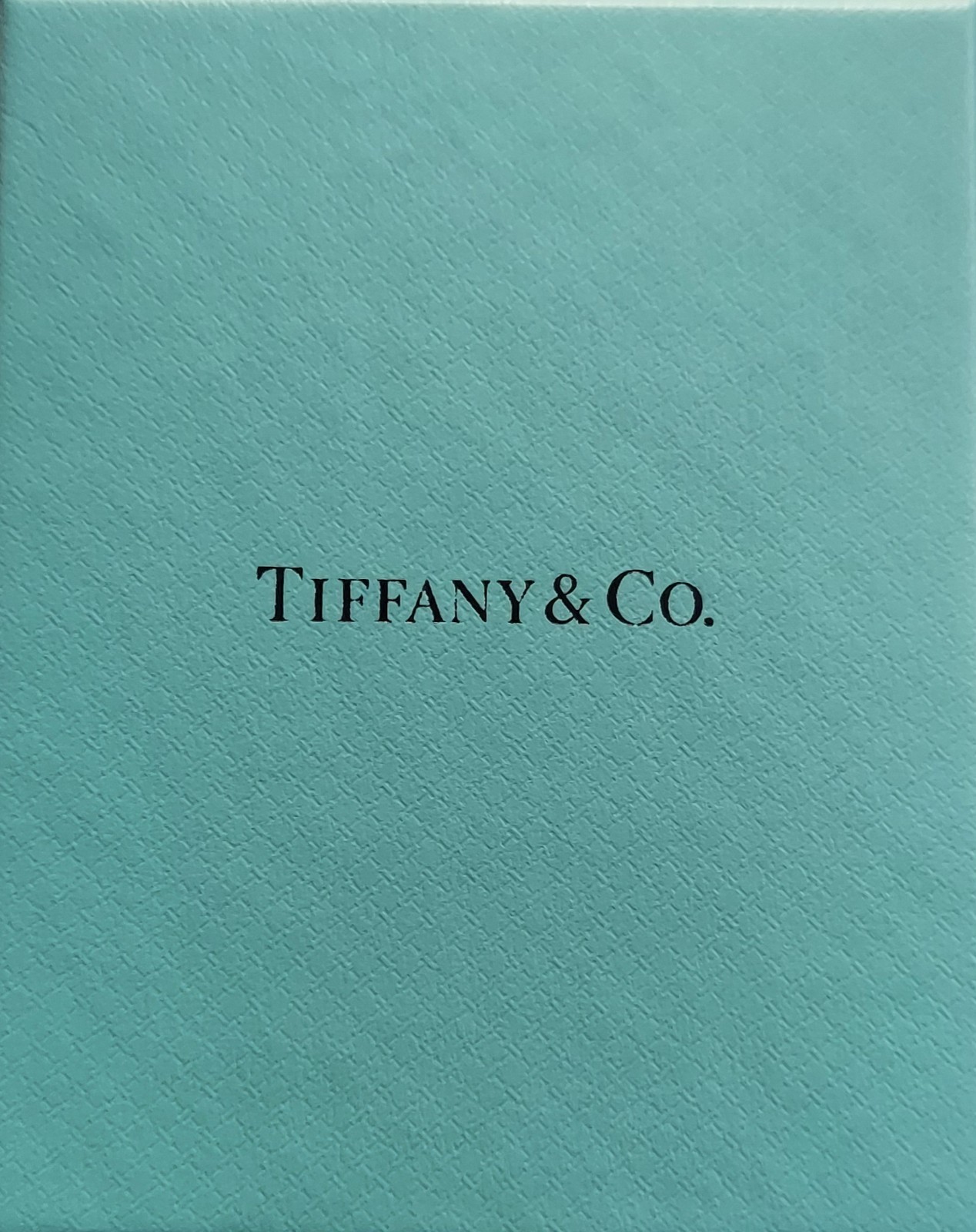 Tiffany & Co. Return To Zodiac Sagittarius Large Round Pendant Charm