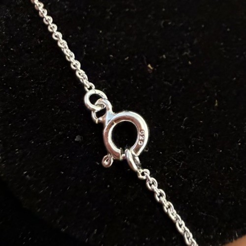 Sterling Silver 925 Jade Round Bezel Charm Pendant Necklace Cable Chain Lobster