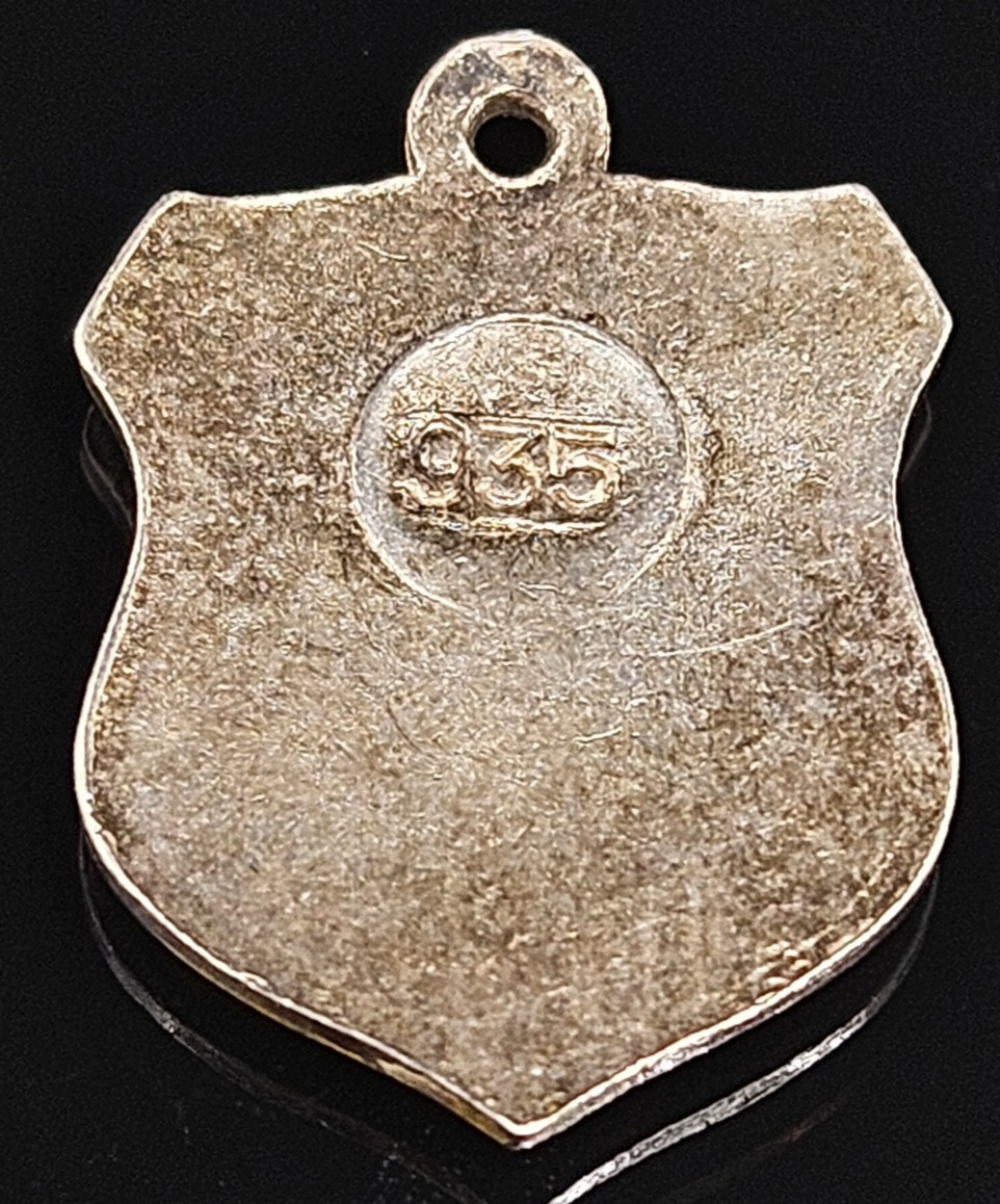 Silver TUBINGEN GERMANY SHIELD Necklace Pendant Souvenir Crest 935 Enamel