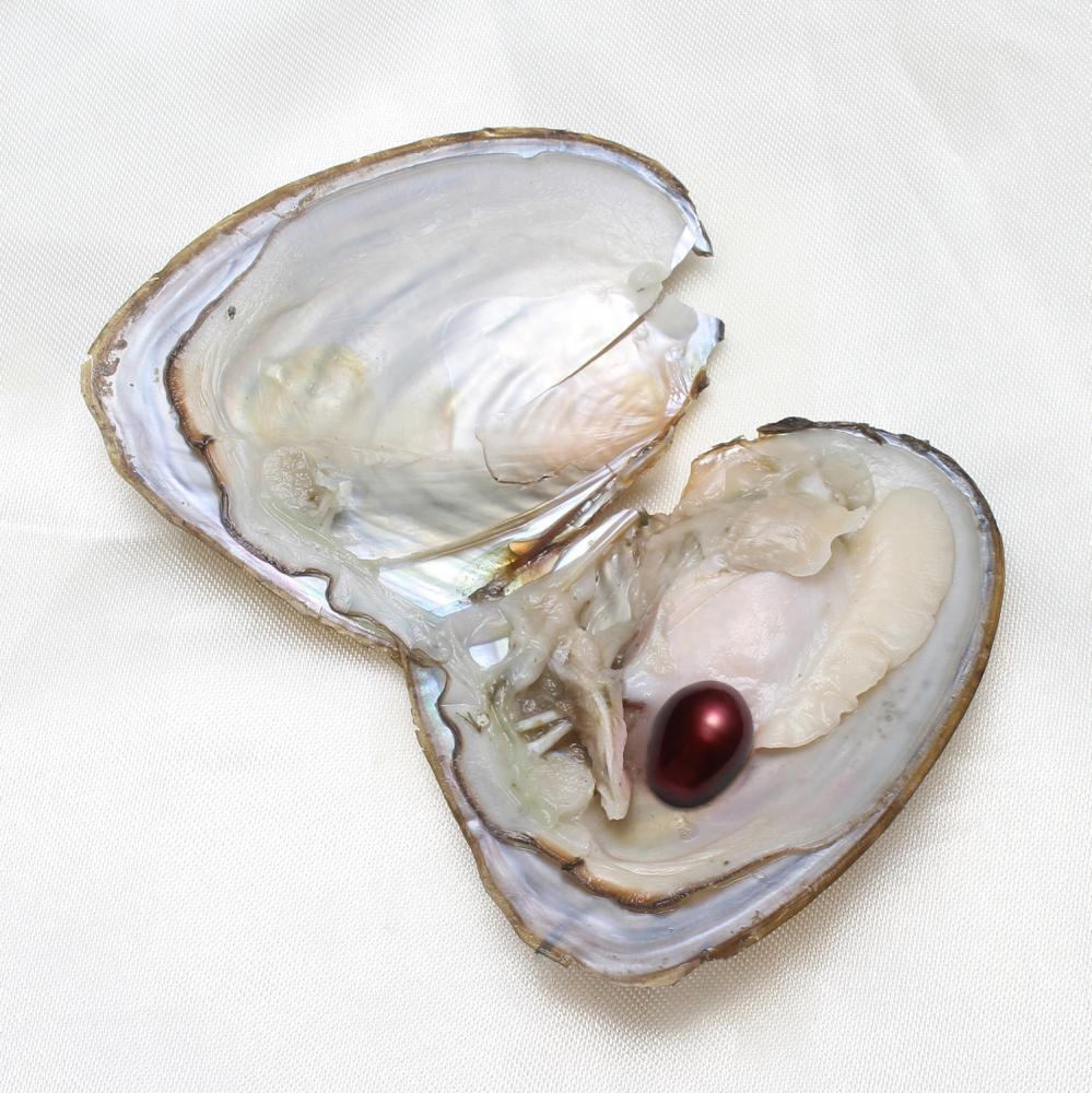 50PCS Freshwater Near Round Oyster Pearl with Pearls Inside Random 7-8mm DIY