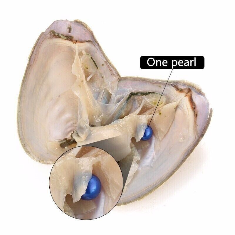 50PCS Akoya Oysters Natural Real Pearl Freshwater Pearl Gfit 7-8mm Vacuum Pack