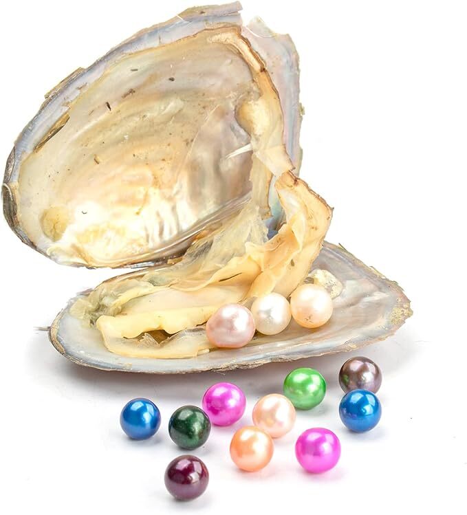 50PCS Freshwater Near Round Oyster Pearl with Pearls Inside Random 7-8mm DIY