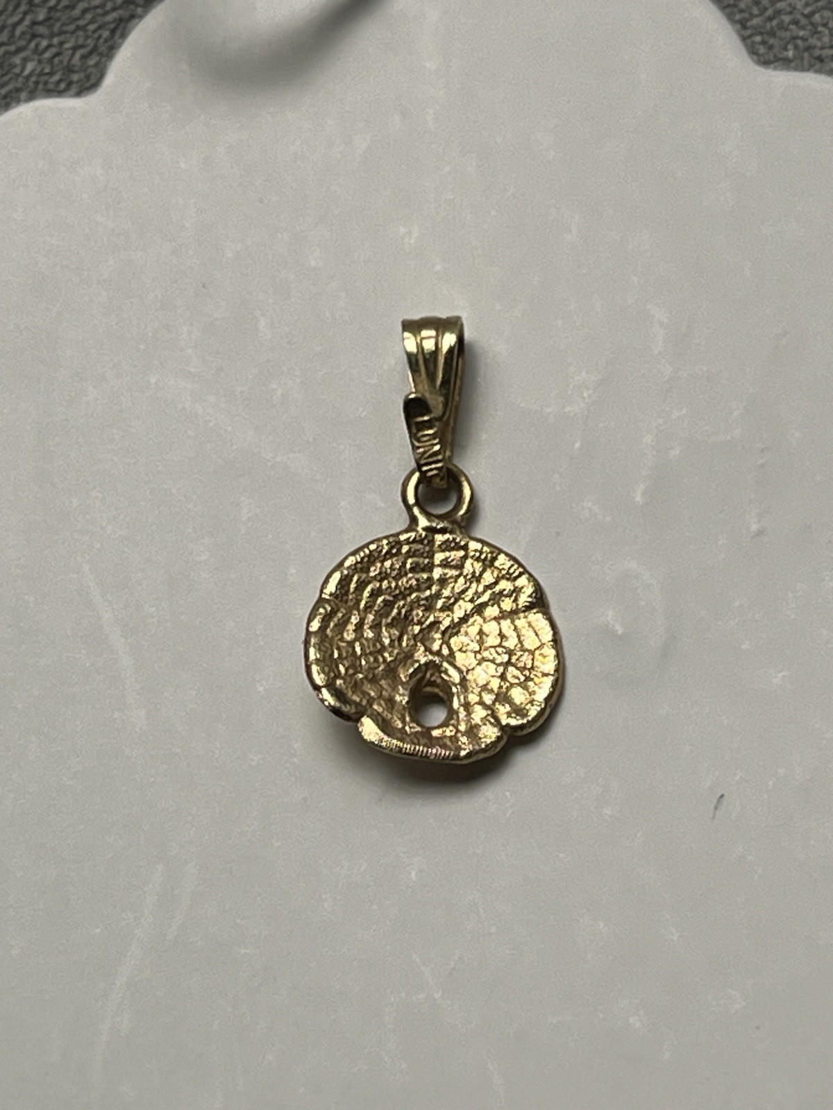 14K Gold Sand Dollar Pendant Dainty Textured Beach Charm 0.5” Chain NOT included