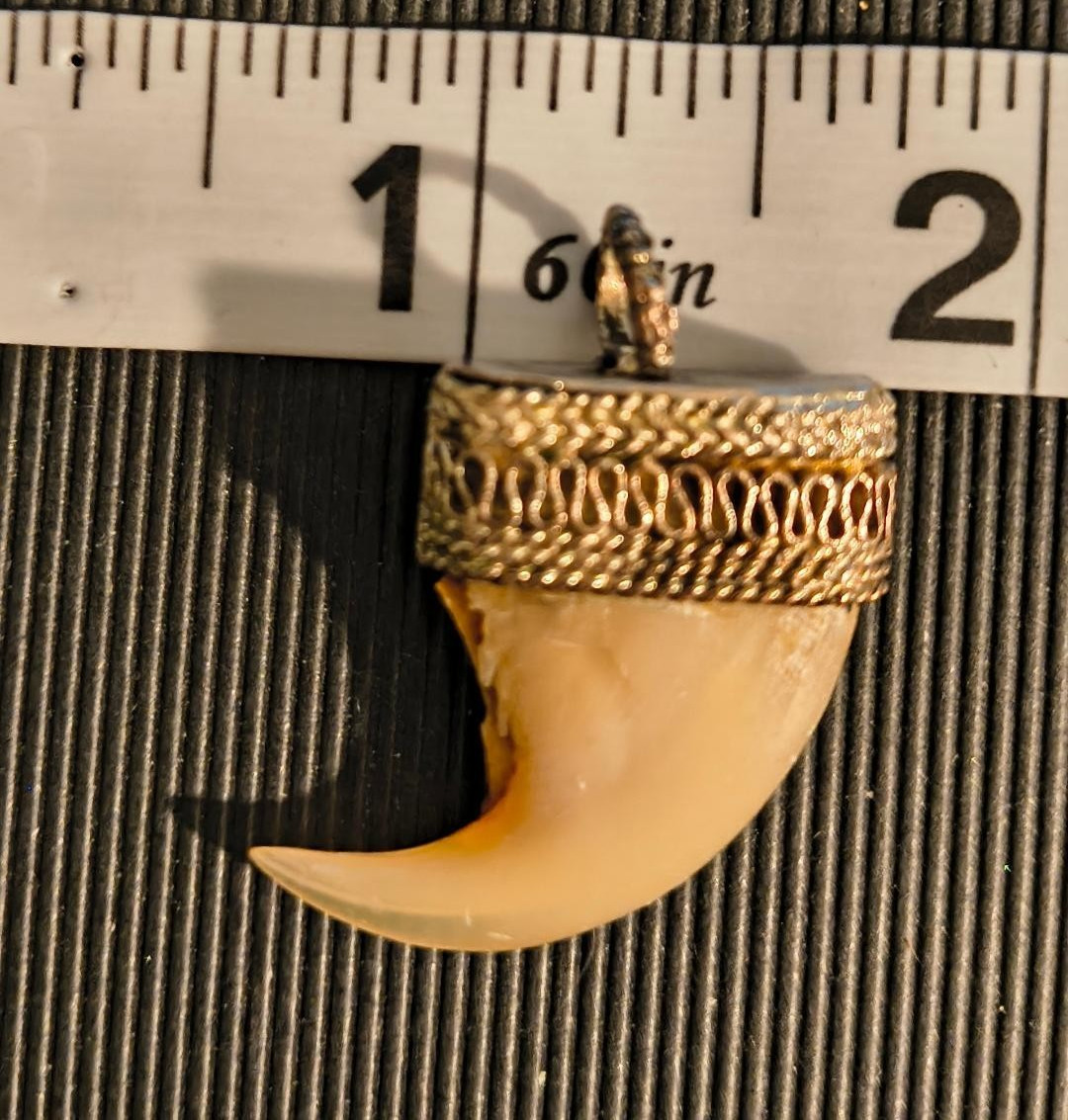 Victorian / Raj Era “Faux” Med/LG Claw Set in Silver Pendant, Charm #2