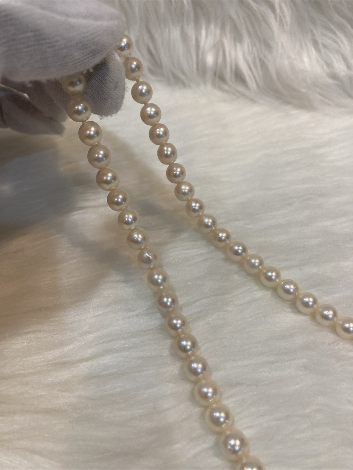 A01 Japanese Akoya Pearl Necklace 7.5-8mm 43cm Silver Clasp White Pearl