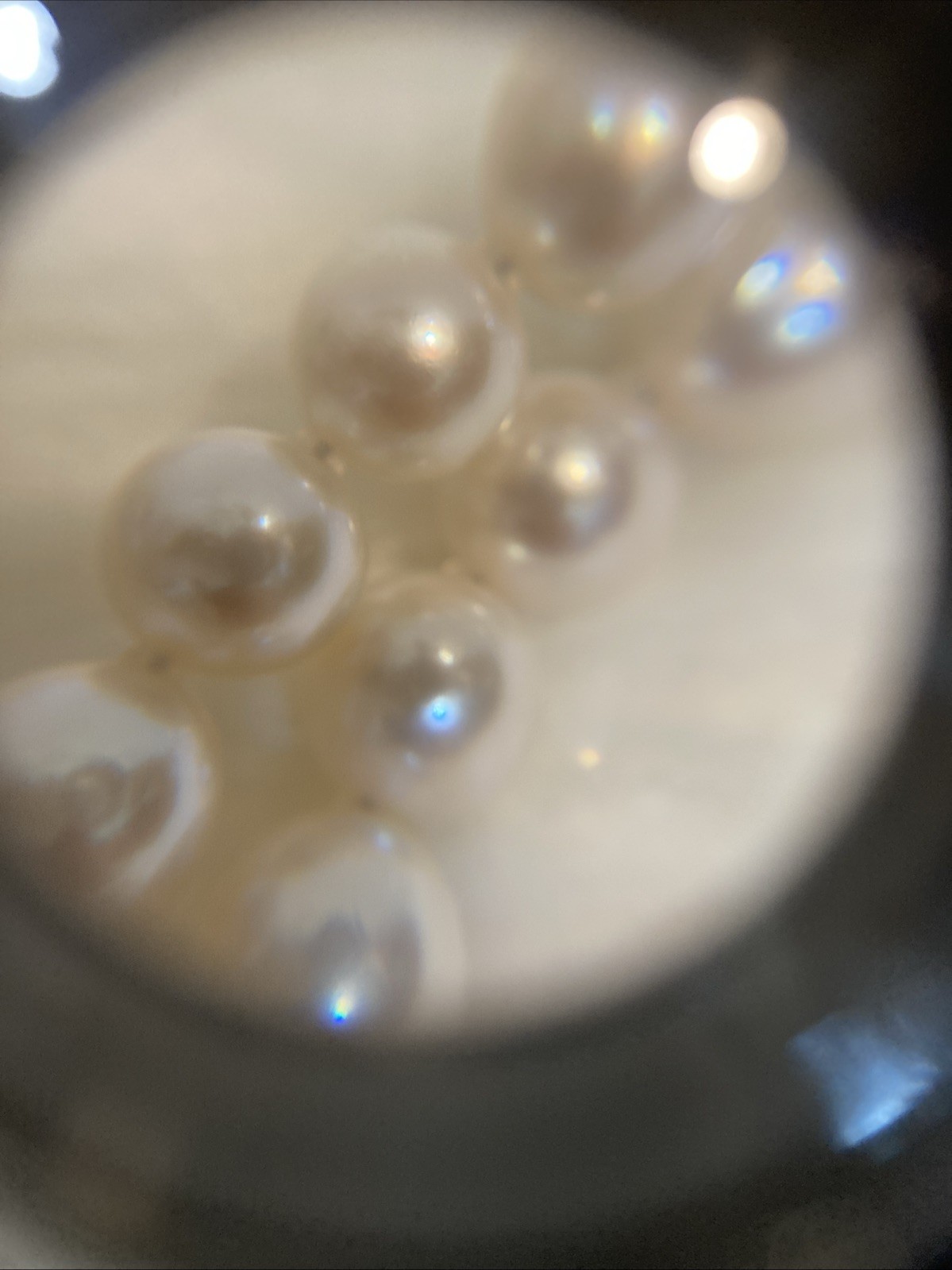 A04JapaneseAkoyaPearl Necklace 7.7-8.0mm 42.5cm SilverClasp Near Round Excellent