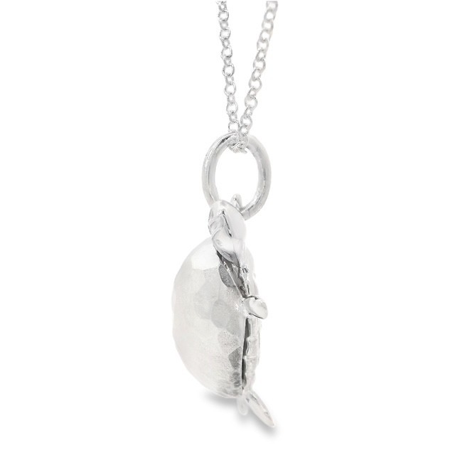 Tiffany & Co. Paloma Picasso Turtle Sterling Silver Necklace