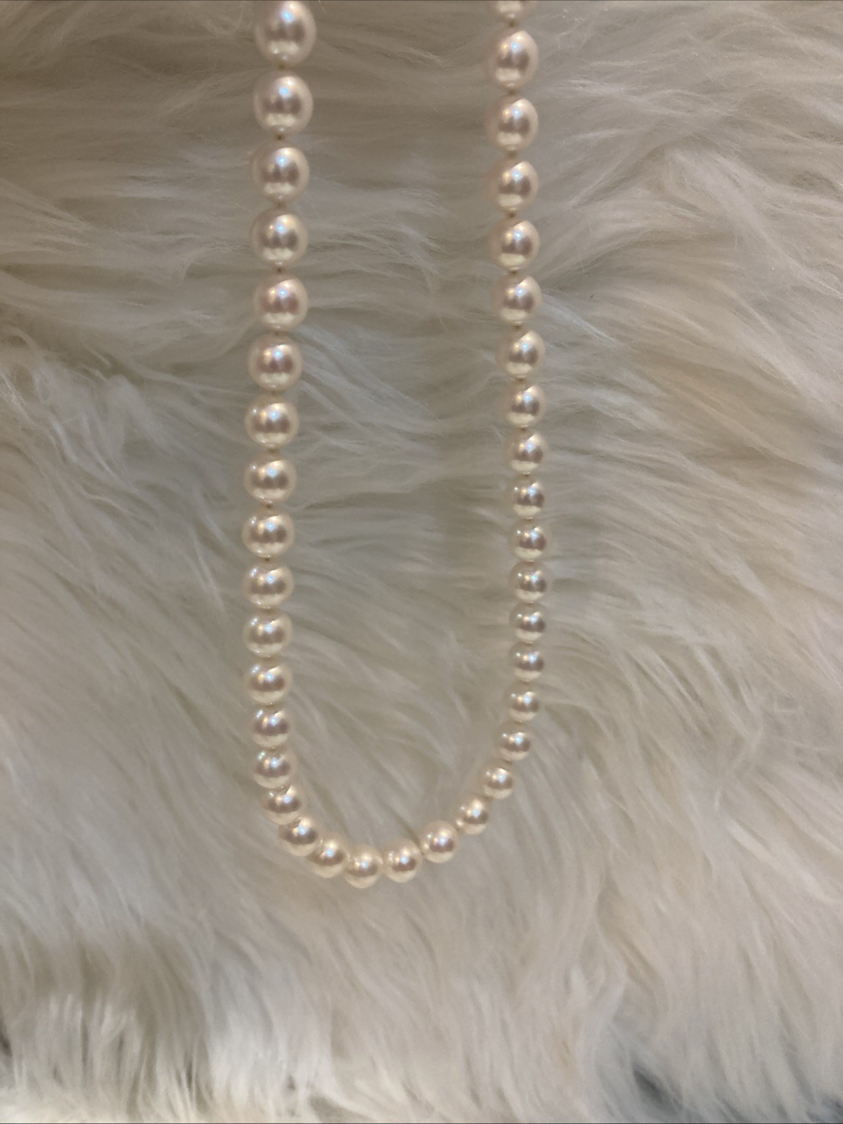 A04JapaneseAkoyaPearl Necklace 7.7-8.0mm 42.5cm SilverClasp Near Round Excellent