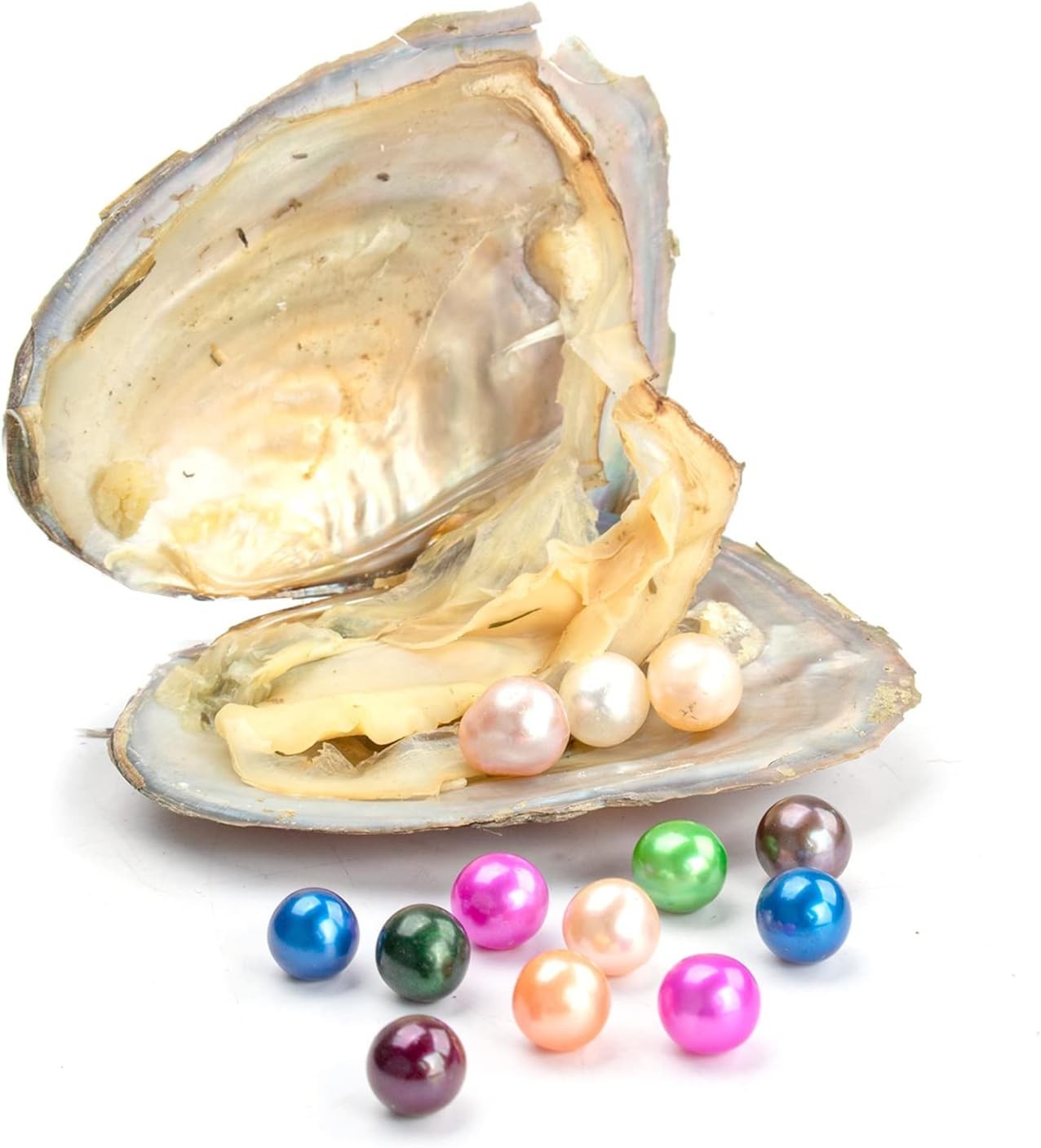 50PCS Akoya Oysters Natural Real Pearl Freshwater Pearl Gfit 7-8mm Vacuum Pack