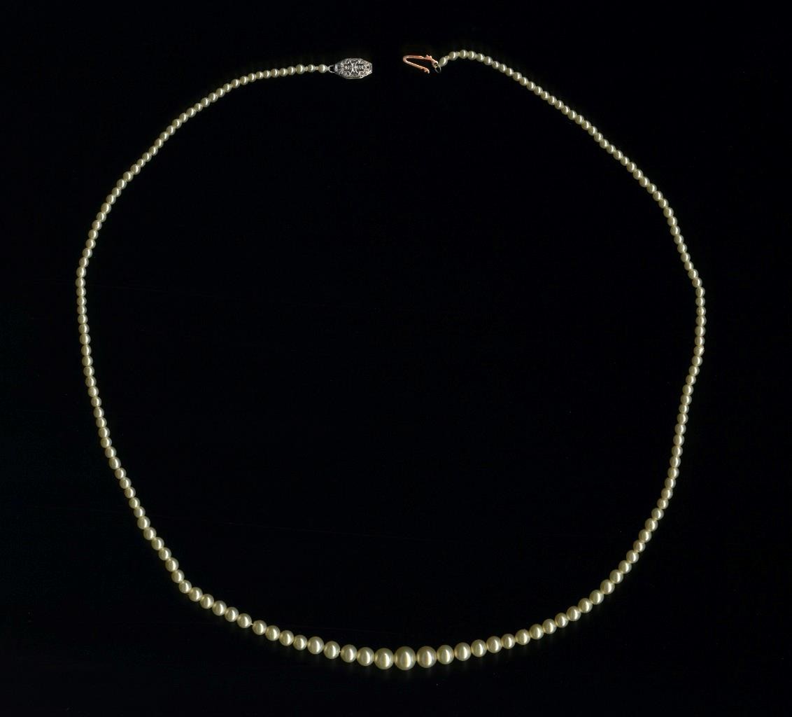 New 10K 9.5 Gram 20.5″ Solid White Gold Cream White Pearl Graduated Necklace (DX