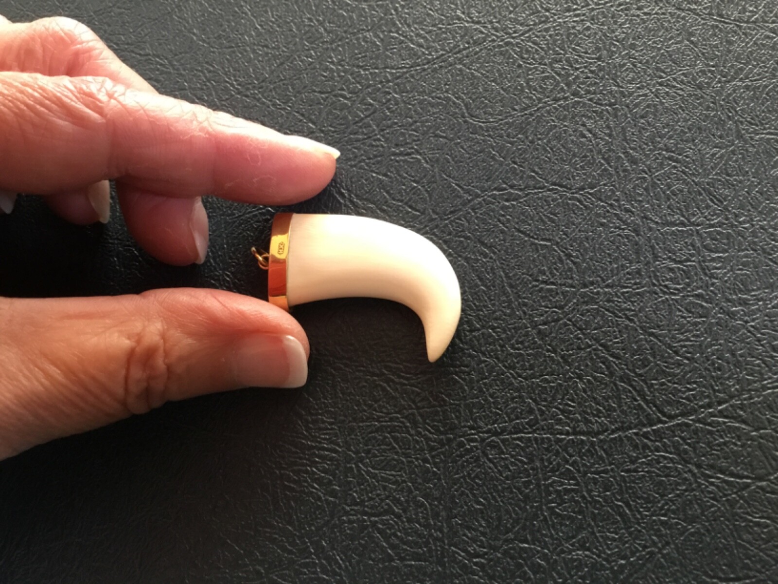 10K SOLID YELLOW GOLD WHITE CLAW PENDANT 5.2 GRAMS 1.25’’ VERY GOOD CONDITION